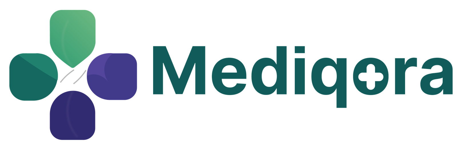 MEDIQORA HMS